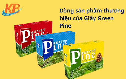 giấy green pine 60gsm