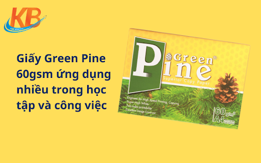 giấy green pine 60gsm