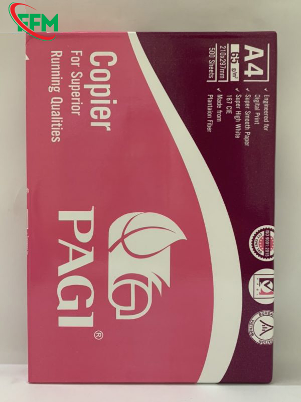 Giay-in-PAGI-A4-DL-65gsm-1-600x801