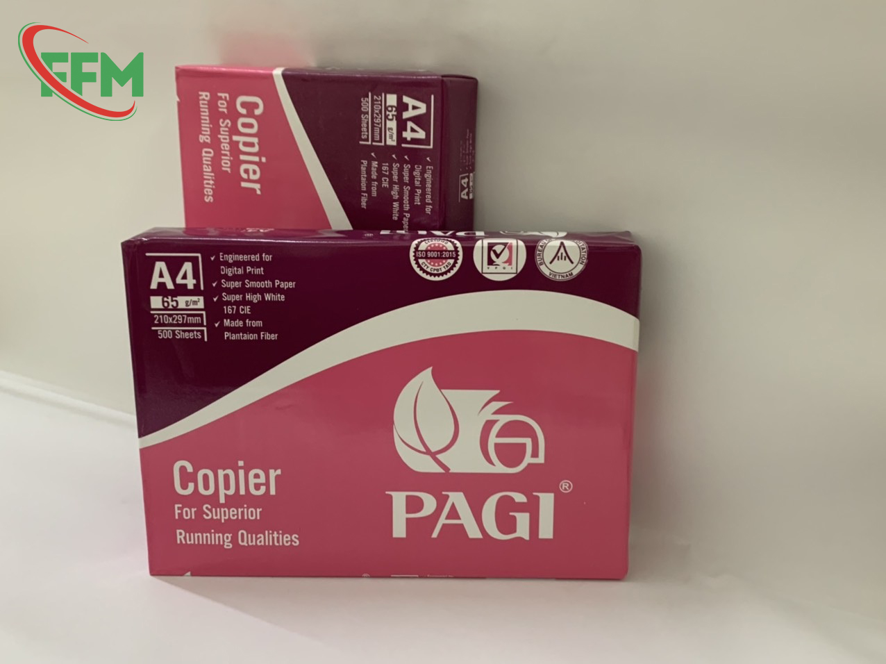 Giay-in-PAGI-A4-DL-65gsm-2