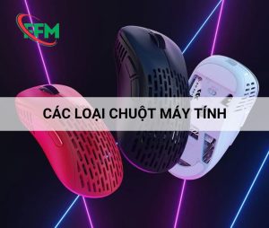 15+ Loại chuột máy tính phổ biến cho dân văn phòng